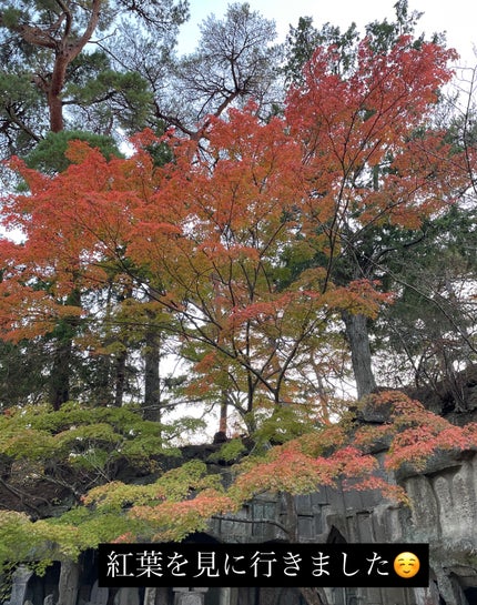 クチュール ミニ クラッチ/YVES SAINT LAURENT BEAUTE/アイシャドウパレットを使ったクチコミ(2枚目)