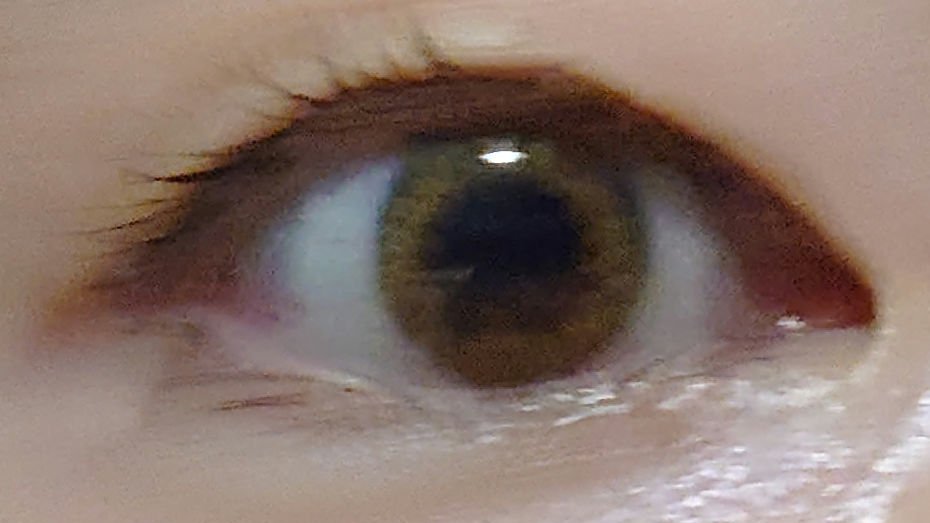 シェリーク ヘーゼルコントゥア/シェリーク/カラーコンタクトレンズを使ったクチコミ（3枚目）