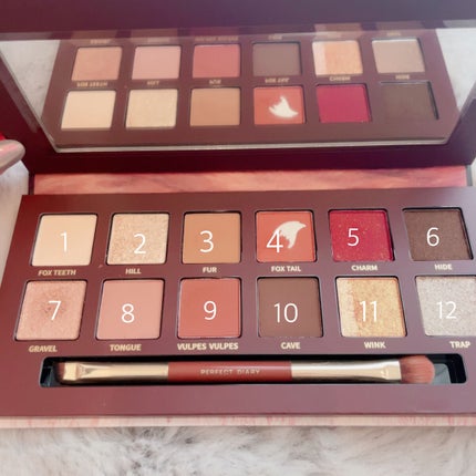 エクスプローラ12色 動物アイシャドウパレット/PERFECT DIARY/アイシャドウパレットを使ったクチコミ(2枚目)