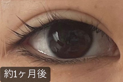 まつげ美容液EX/CEZANNE/まつげ美容液を使ったクチコミ(4枚目)