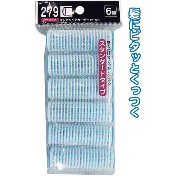 マジカルヘアカーラー(小・6P) セイワ・プロ