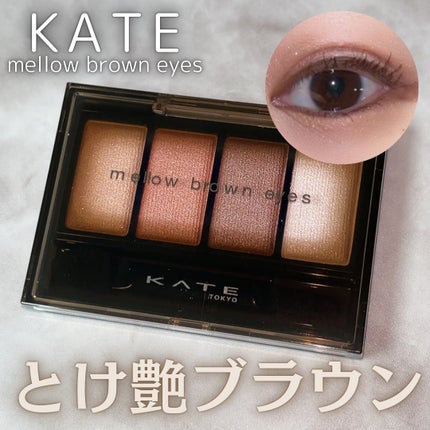 ケイト メロウブラウンアイズ/KATE/アイシャドウパレットを使ったクチコミ(1枚目)