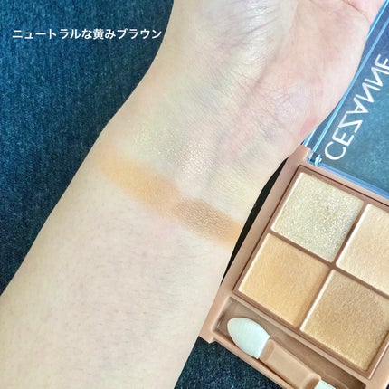 ビタートーンアイシャドウ/CEZANNE/パウダーアイシャドウを使ったクチコミ(4枚目)