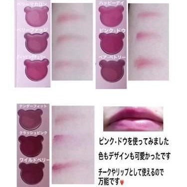ムードペインティングリップアンドチークパレット/dasique/マルチパレットを使ったクチコミ(3枚目)
