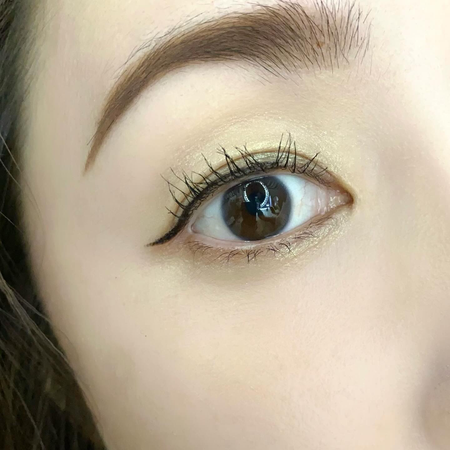 オンブル エサンシエル 222 ジェイド ファセッテ(メタリック)/CHANEL/単色アイシャドウを使ったクチコミ（3枚目）