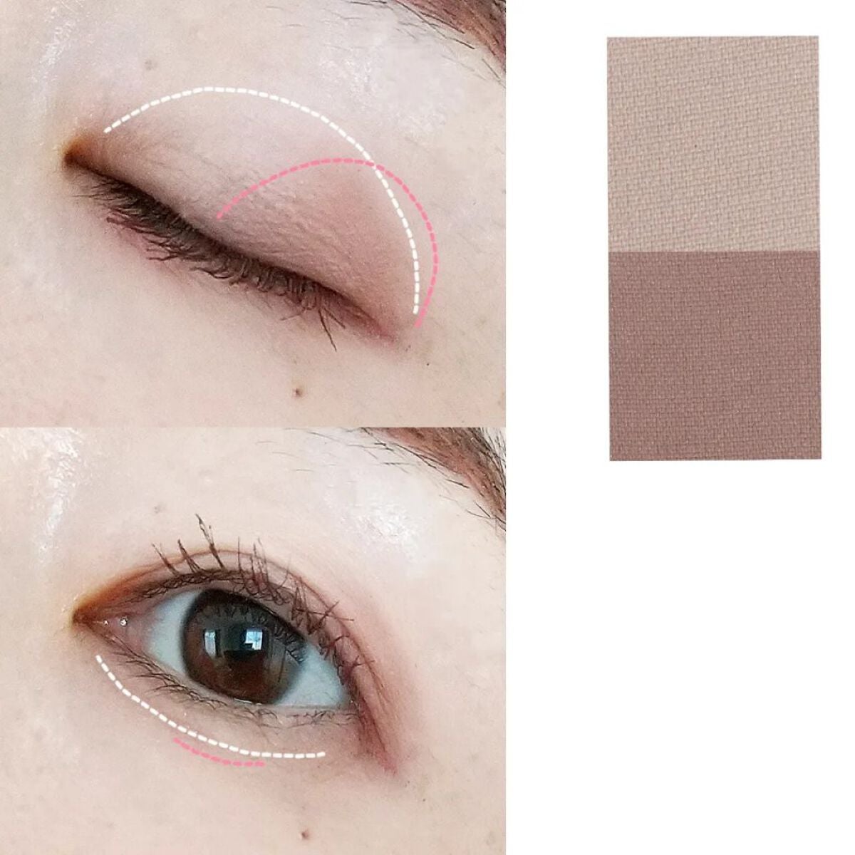 STEP BASIC EYESHADOW/Ameli/単色アイシャドウを使ったクチコミ(3枚目)