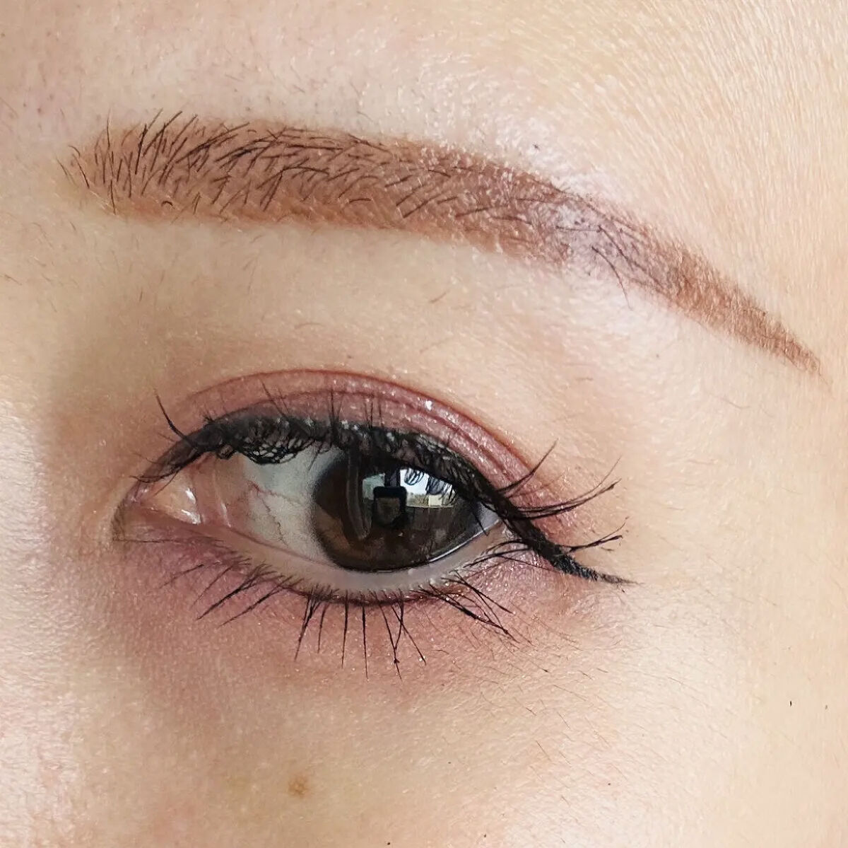 シャドウパレット/dasique/アイシャドウパレットを使ったクチコミ（3枚目）