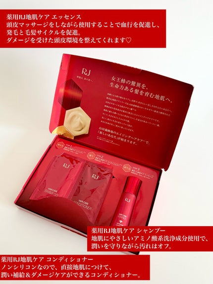 薬用 RJ地肌ケア シャンプー/コンディショナー コンディショナー/アピセラピーコスメティクス/市販シャンプーの画像