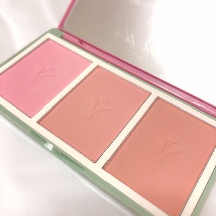ヴィンテージ フィルター チーク パレット Vintage Filter Edition/innisfree/パウダーチークを使ったクチコミ(2枚目)