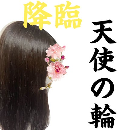 ディープリペア シャンプー モイスト/ヘアトリートメント モイスト/ハニーク/市販シャンプーを使ったクチコミ(1枚目)