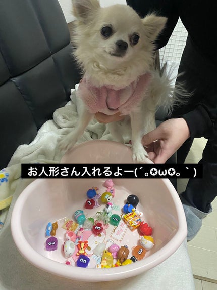 を使ったクチコミ(1枚目)