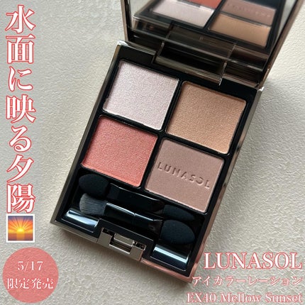 アイカラーレーション/LUNASOL/アイシャドウパレットを使ったクチコミ(1枚目)