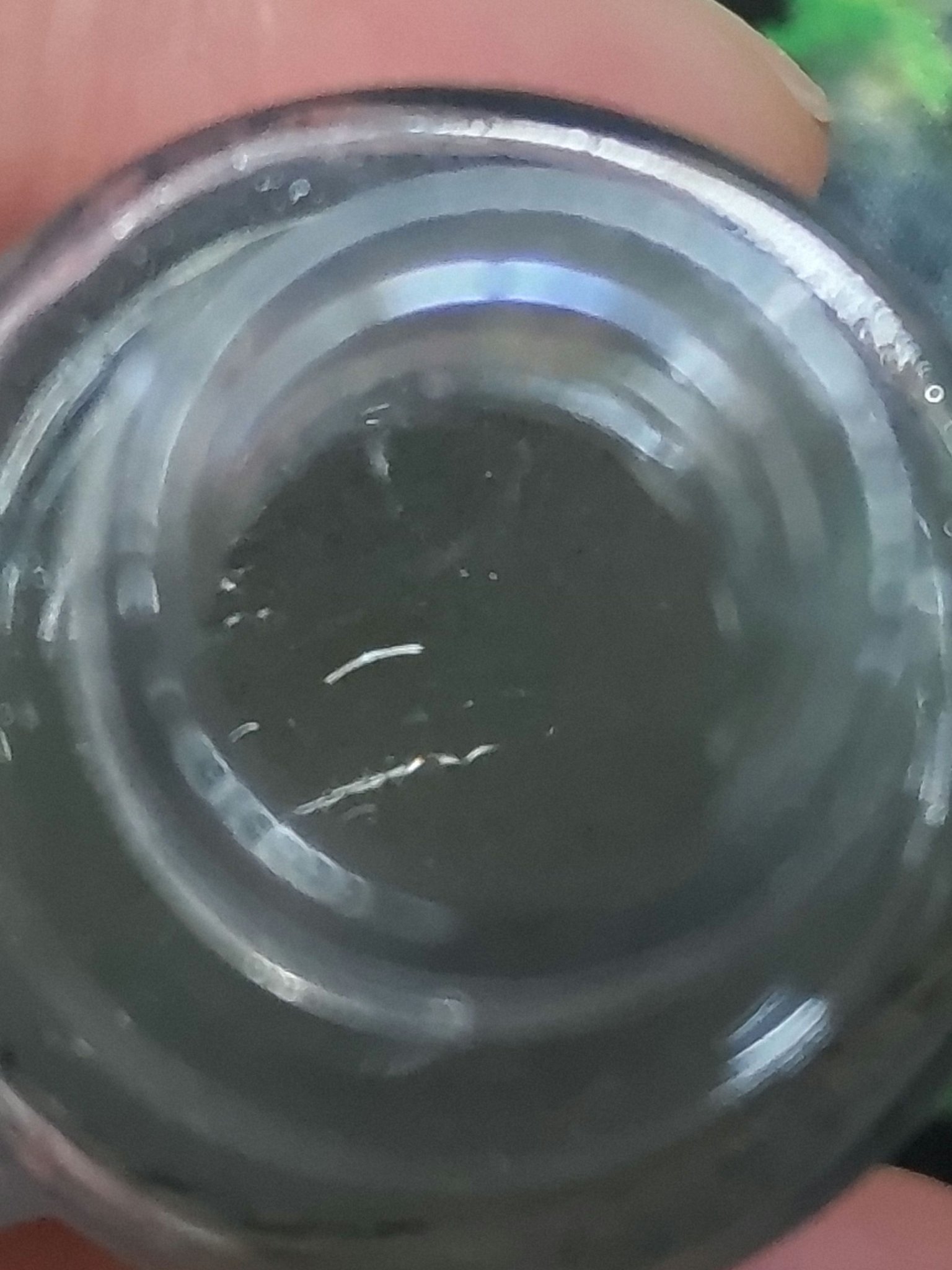 クラリフィック デュアル エッセンス ローション/LANCOME/化粧水を使ったクチコミ（2枚目）