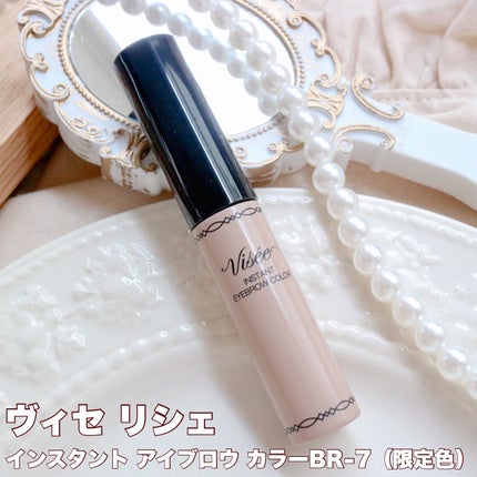 ヴィセ リシェ アイブロウパウダー/Visée/パウダーアイブロウを使ったクチコミ(6枚目)