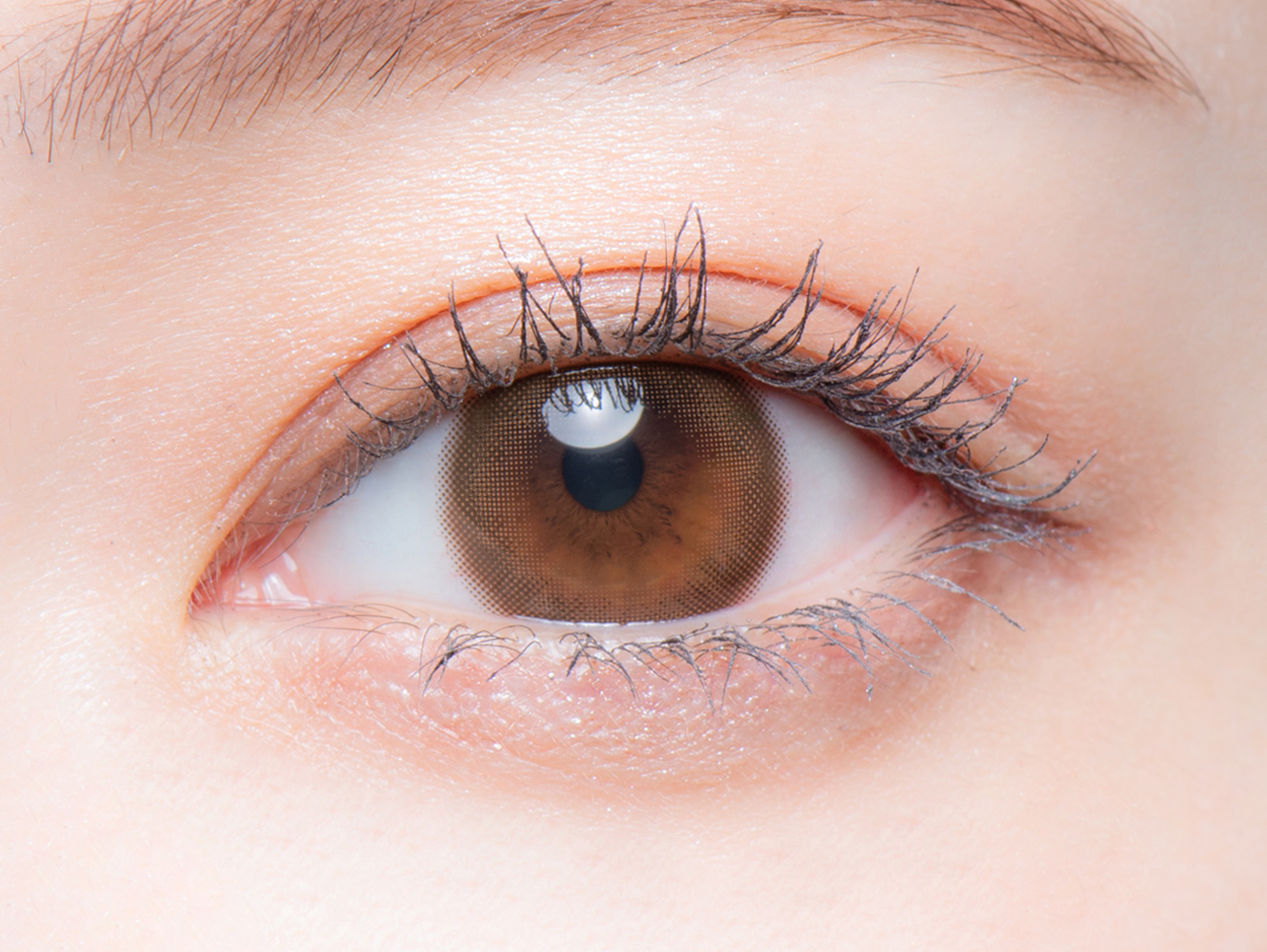 melotte 1day ヒロインルール