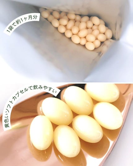 ヒアロモイスチャー240/キユートピア/美容サプリメントを使ったクチコミ(6枚目)