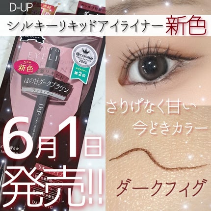 シルキーリキッドアイライナーWP/D-UP/リキッドアイライナーを使ったクチコミ(1枚目)