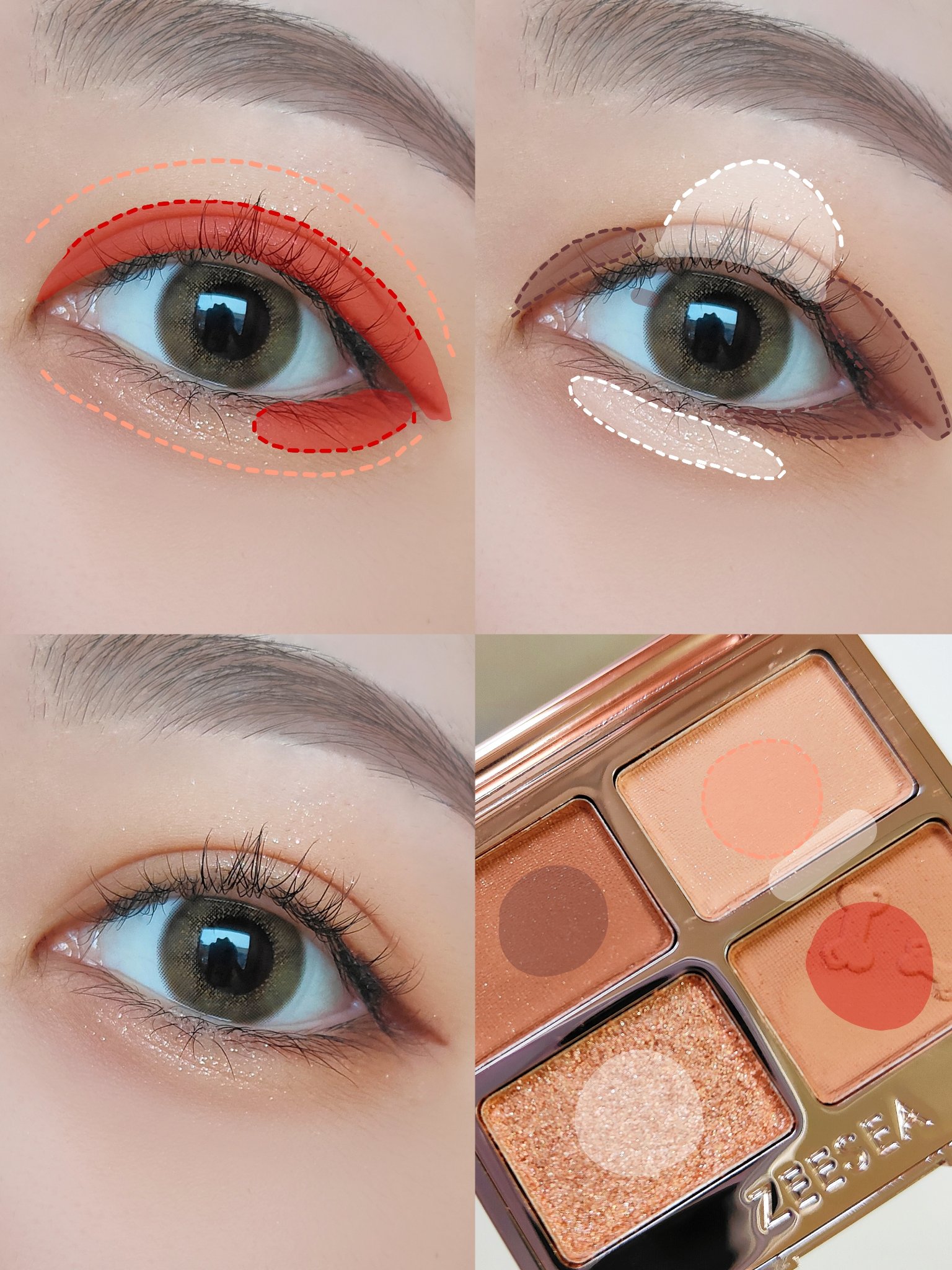 アニマルアイシャドウ(4シェード)/ZEESEA/アイシャドウパレットを使ったクチコミ（3枚目）