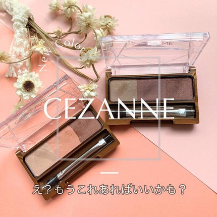 ノーズ&アイブロウパウダー/CEZANNE/パウダーアイブロウを使ったクチコミ(1枚目)
