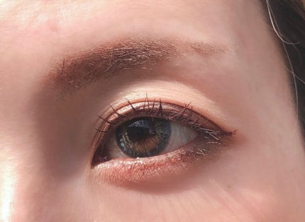 ベージュトーンアイシャドウ/CEZANNE/アイシャドウパレットを使ったクチコミ(3枚目)