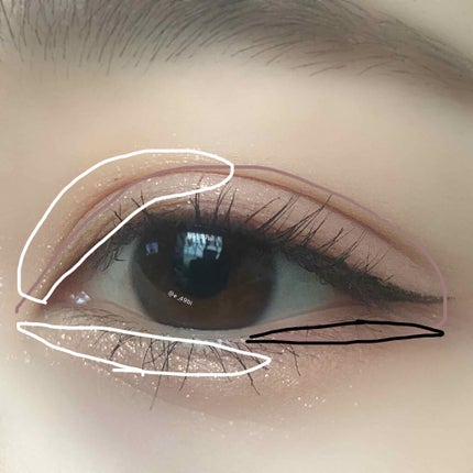 2021 F/Wルックブックパレット/espoir/アイシャドウパレットを使ったクチコミ(4枚目)