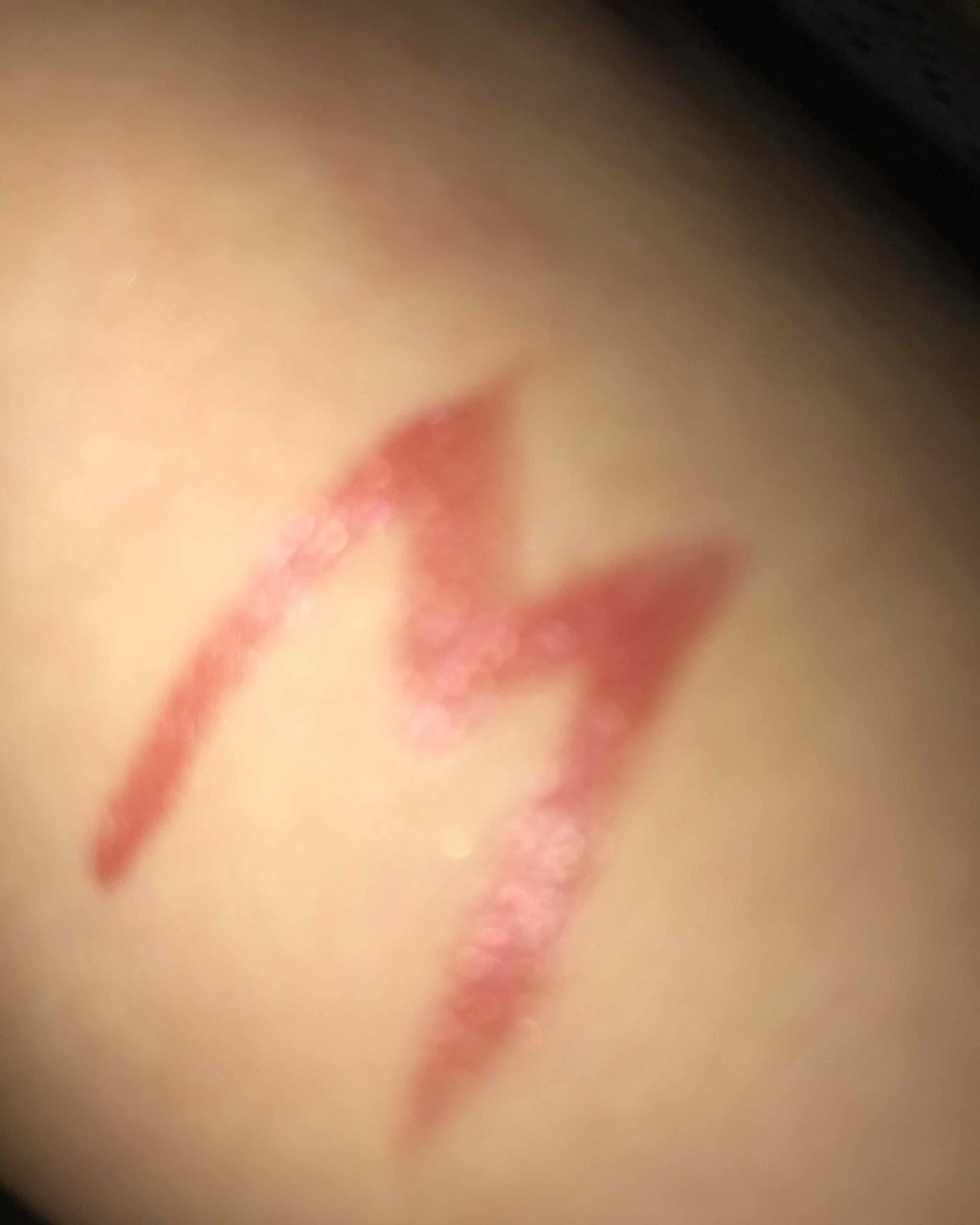 口紅(詰替用)(旧)/ちふれ/口紅を使ったクチコミ(2枚目)