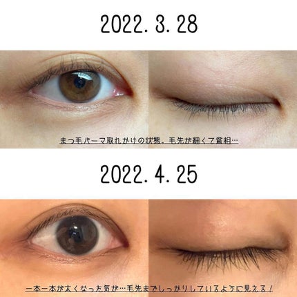 アイラッシュセラム100EX/COSNORI/まつげ美容液を使ったクチコミ(2枚目)
