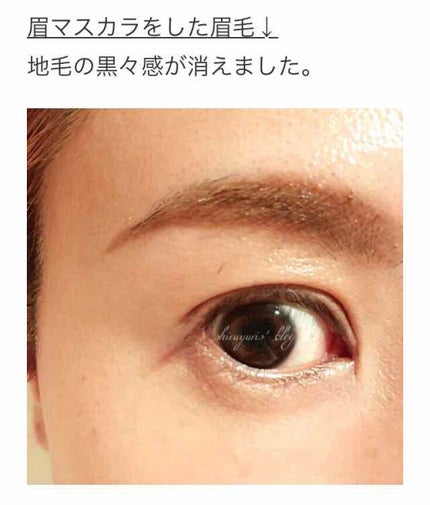 クレヨンタッチミー STアイブロウパウダー/キャンドゥ/パウダーアイブロウを使ったクチコミ(4枚目)