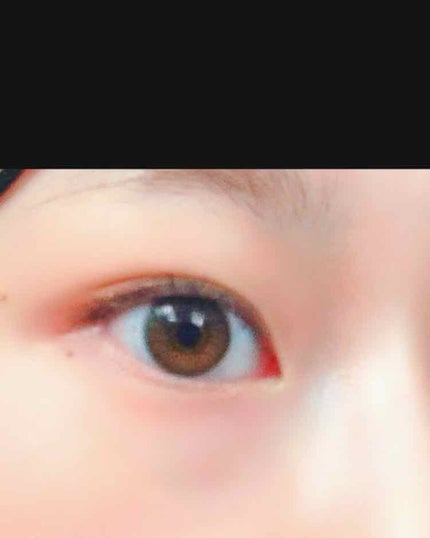 ReVIA 1day/ReVIA/ワンデー(1DAY)カラコンを使ったクチコミ(1枚目)