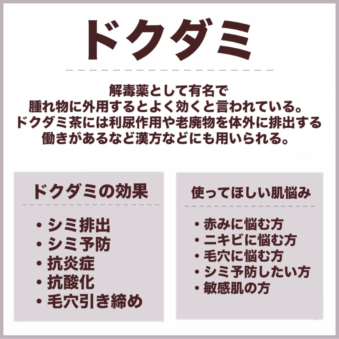 Noni Ampule/celimax/美容液を使ったクチコミ(3枚目)