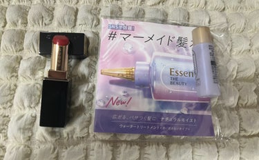 シンクロスキン インビジブル シルク プレストパウダー/SHISEIDO/プレストパウダーを使ったクチコミ（1枚目）