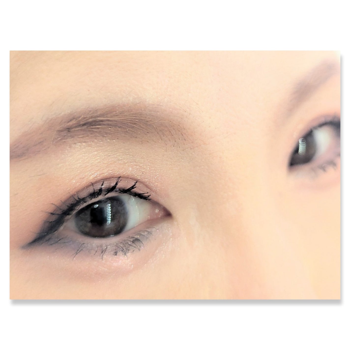 長相思シリーズ 9色アイシャドウパレット/CATKIN/アイシャドウパレットを使ったクチコミ(2枚目)