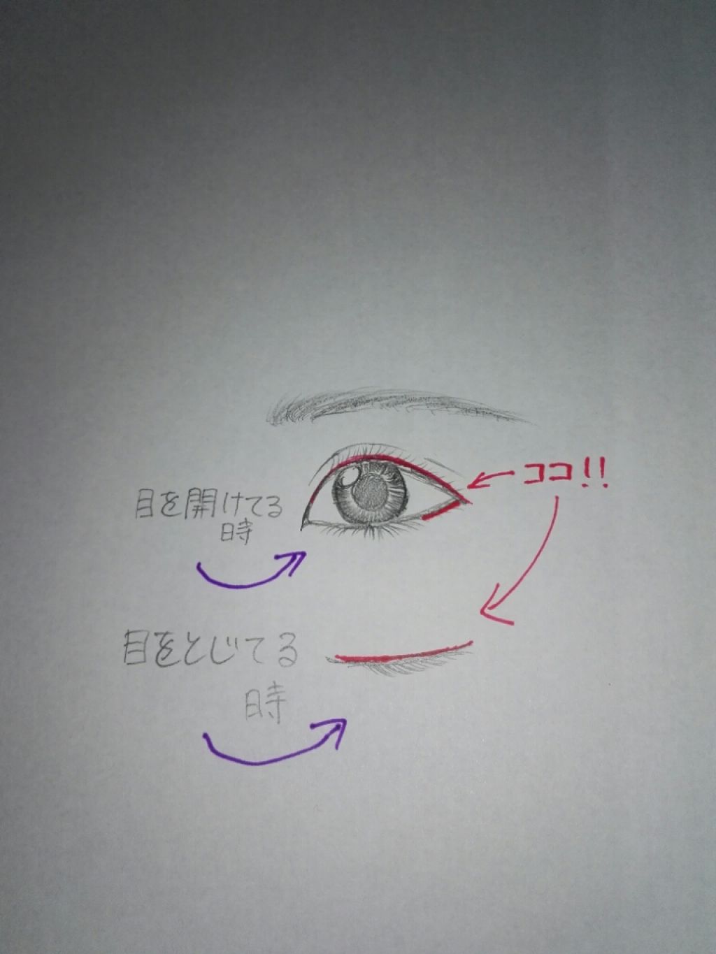 すっぴんパウダー/クラブ/プレストパウダーを使ったクチコミ（3枚目）