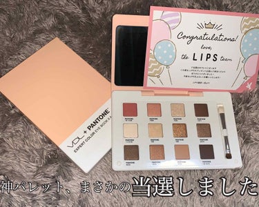 Expert Color Eye Book 6.4 /VDL/パウダーアイシャドウを使ったクチコミ（1枚目）