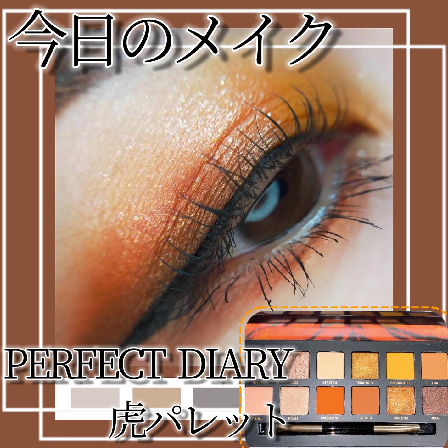 エクスプローラ12色 動物アイシャドウパレット/PERFECT DIARY/アイシャドウパレットを使ったクチコミ(1枚目)