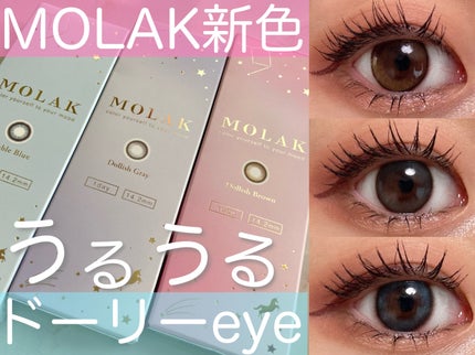 MOLAK 1day/MOLAK/ワンデー(1DAY)カラコンを使ったクチコミ(1枚目)