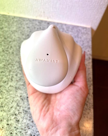 Shiho Arai on LIPS 「・・�コスメコンシェルジュアンバサダー本年度も任命していただき..」(8枚目)