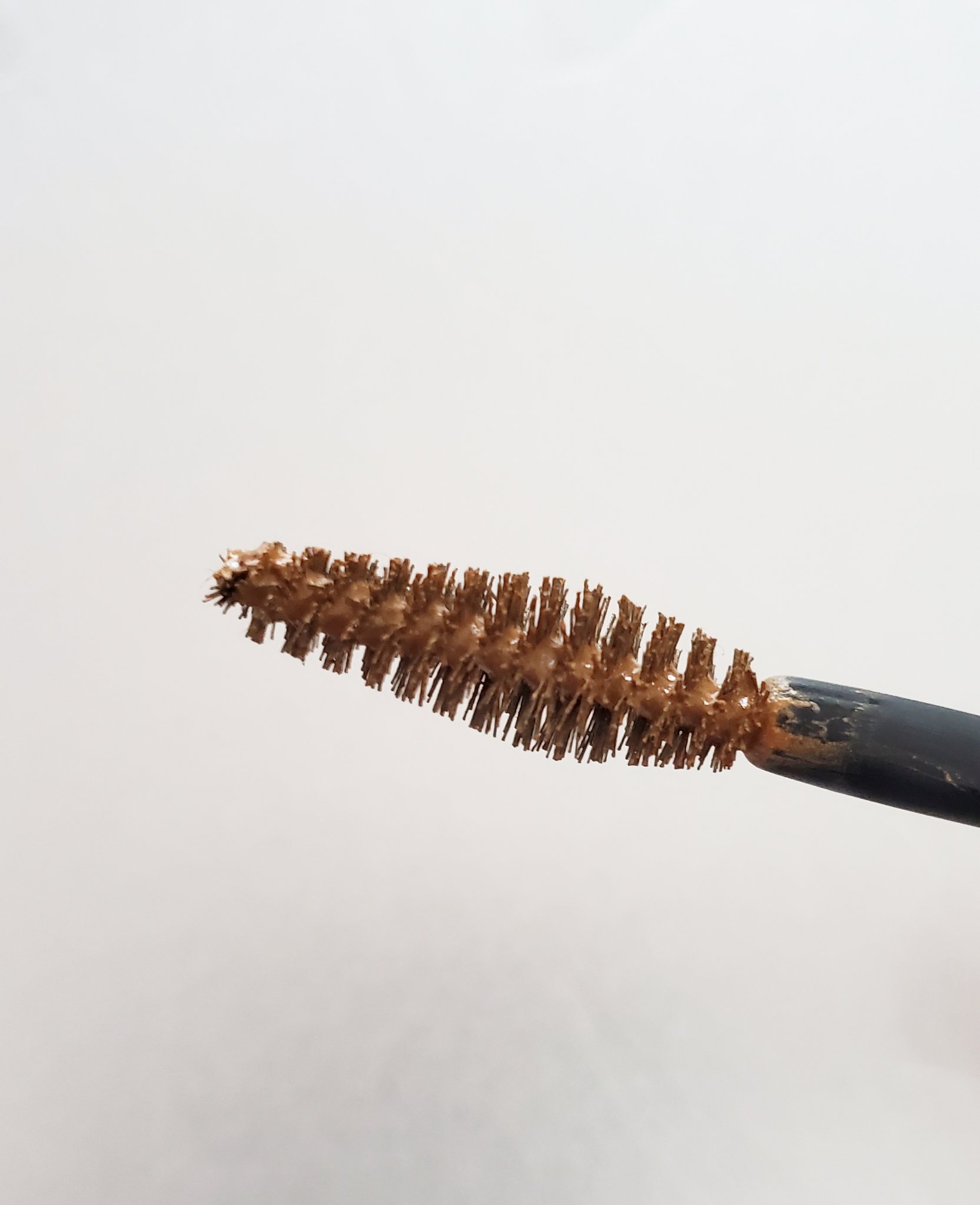 カラーマイブロウマスカラ/ETUDE/眉マスカラを使ったクチコミ（2枚目）