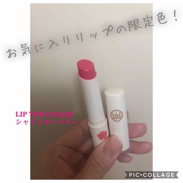 お気に入りのリップの限定色が出たなんて！
しかもベリー？？ブルベ大歓喜😍

というわけで、買ってきました
📍ロート　リップザカラー　シャインオンベリー
　　600円くらい

すっぴんより華やか、
だけど