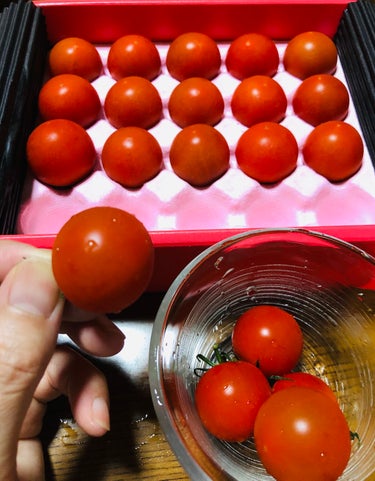 リコピュア BH Tomatoのクチコミ「ストレス緩和・睡眠・肌の弾力の維持を支える高機能トマトLycopure BH Tomato（リ.....」（3枚目）
