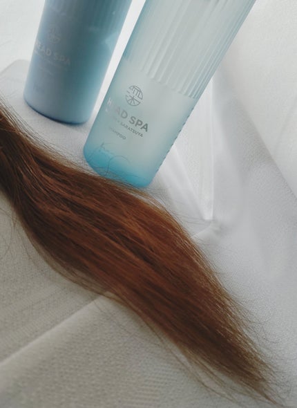 リフレッシュ × さらつや シャンプー/トリートメント/h&s/市販シャンプーを使ったクチコミ(7枚目)