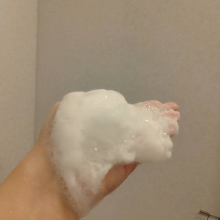 済州ツバキマイルドフォームクレンザー/Neulii/洗顔フォームを使ったクチコミ(3枚目)