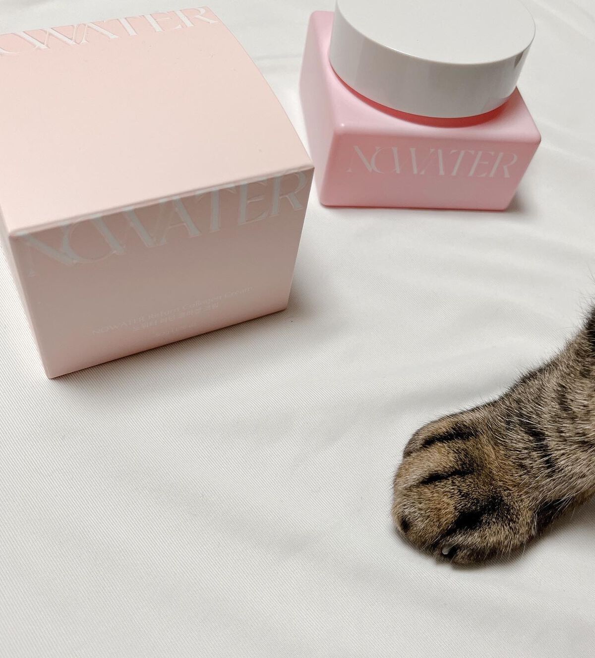 ねこむす on LIPS 「子供の風邪がうつりまして早数日…😷体調万全じゃない時って肌もな..」(4枚目)