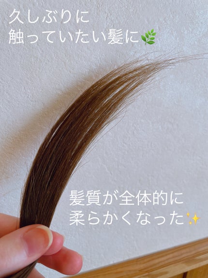カラーケア&ベーストリートメント/いち髪/洗い流すヘアトリートメントを使ったクチコミ(2枚目)