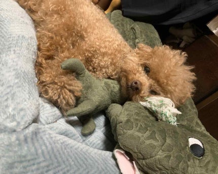 ネイルポリッシュ/RMK/マニキュアを使ったクチコミ(3枚目)