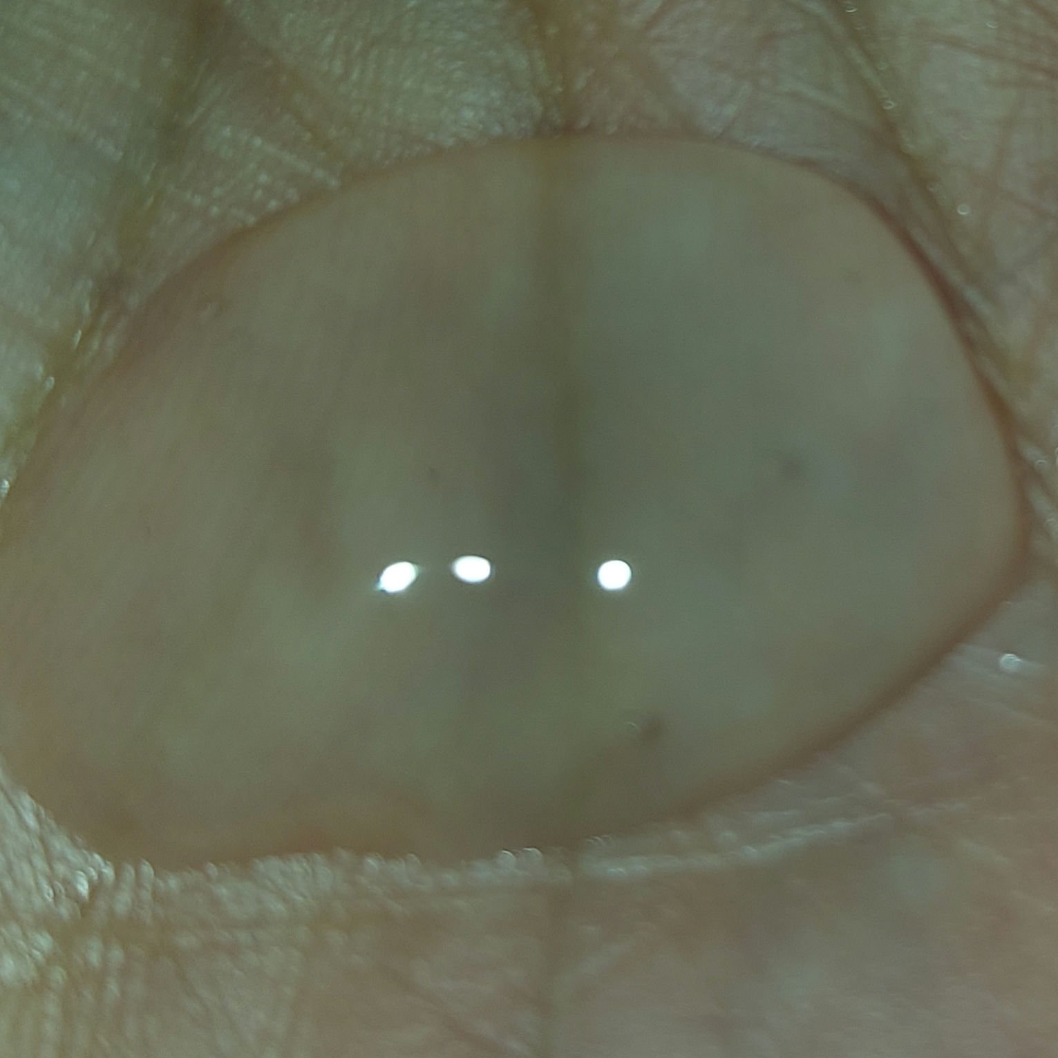 スパ・エ・メールブランコンフォールオーバーナイトクリアジェル/Prédia/フェイスクリームを使ったクチコミ（3枚目）