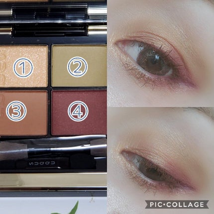 シグニチャー カラー アイズ/SUQQU/アイシャドウパレットを使ったクチコミ(2枚目)