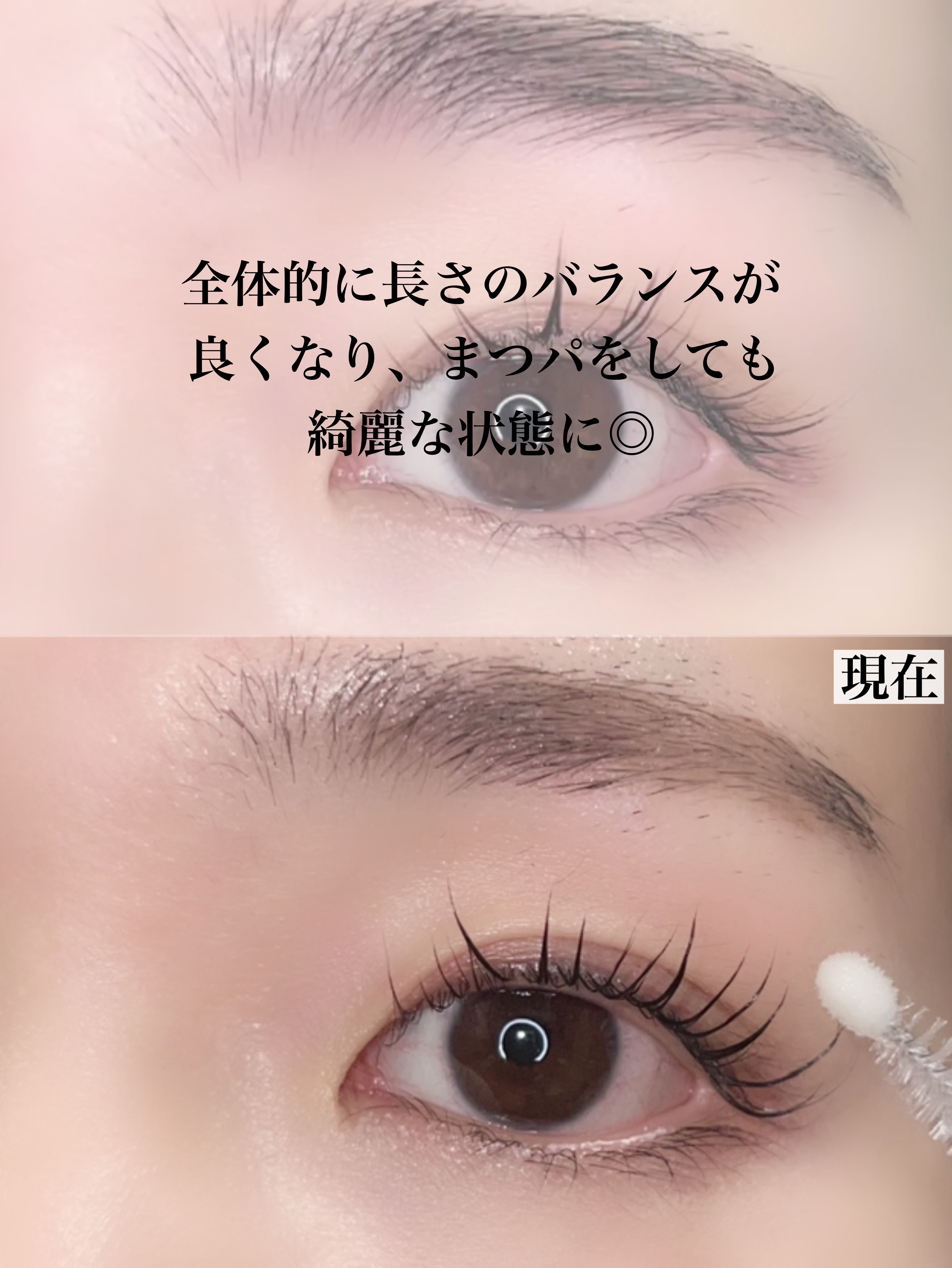 2024年春新作まつげ美容液】アイラッシュセラム｜PHOEBE BEAUTY UPの