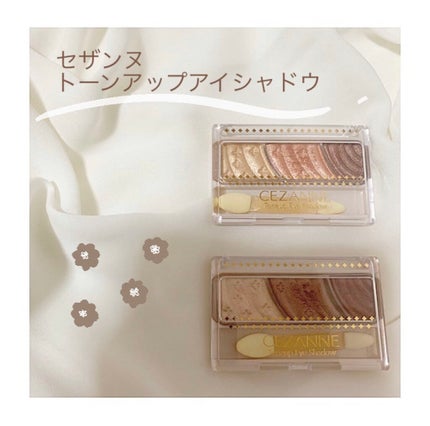 トーンアップアイシャドウ/CEZANNE/アイシャドウパレットを使ったクチコミ(1枚目)