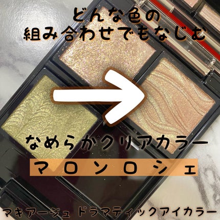 ドラマティックアイカラー (パウダー)/(クリーム) BR313 マロンロシェ (パール)/マキアージュ/アイシャドウパレットの画像